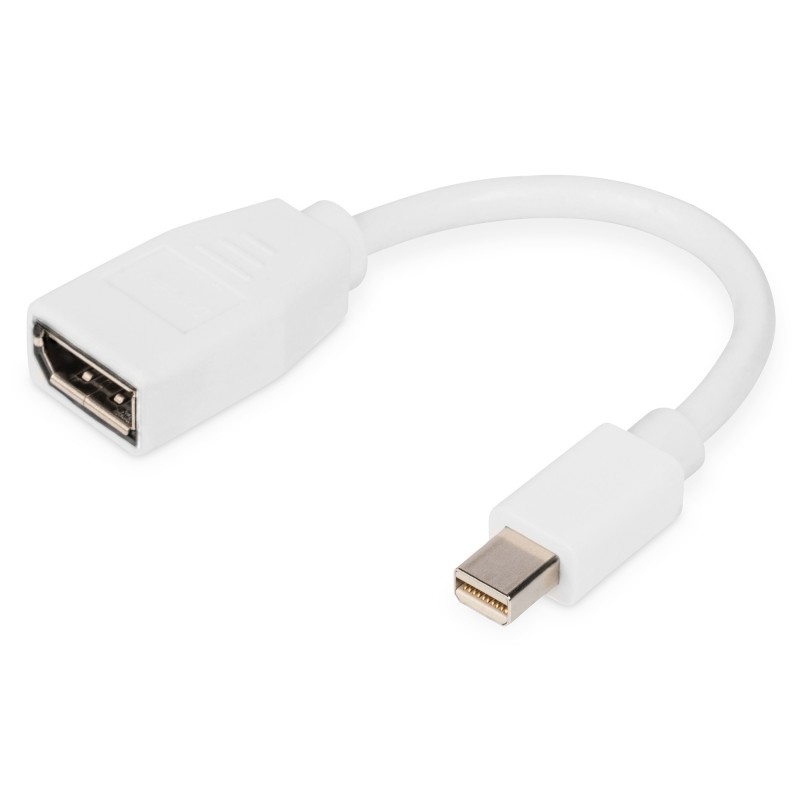 DIGITUS DB-340405-001-W DisplayPort Adapterkabel, mini DP - DP St/Bu, 0.15m